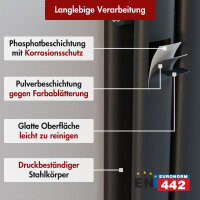 Design Flachheizkörper Paneelheizkörper elektrisch TAYLOR Horizontal Doppellagig Schwarz